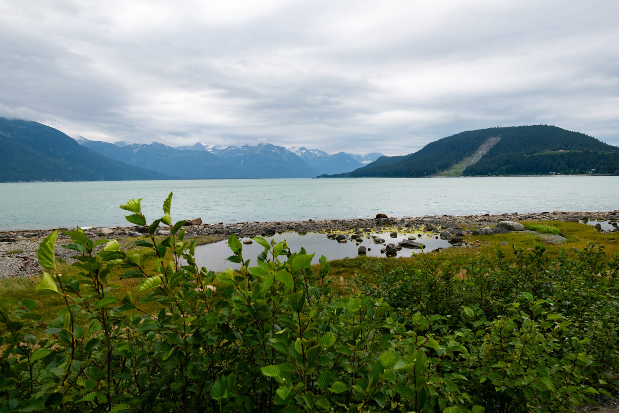 Photo of false "bear" and landslide location.