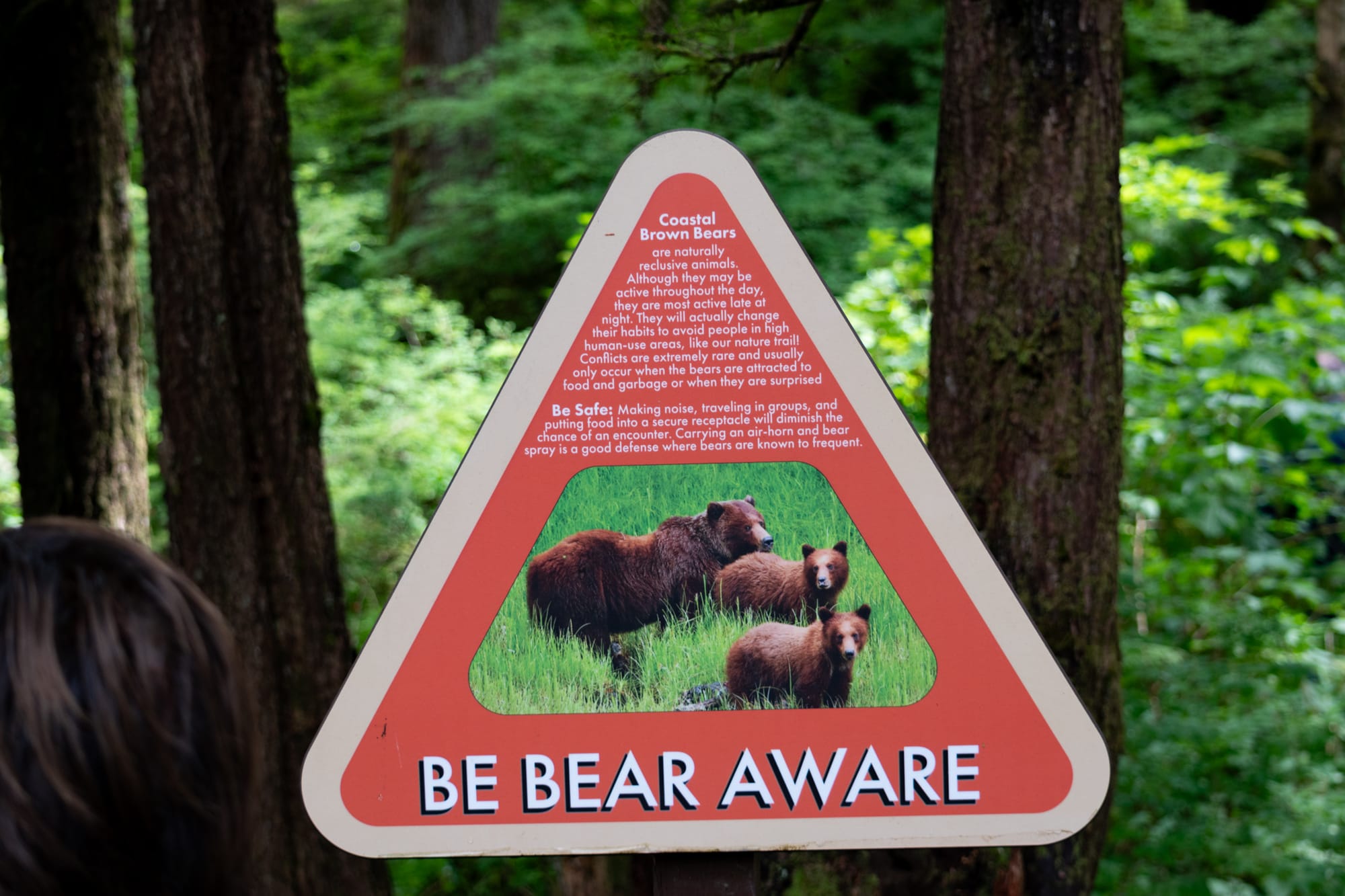 Photo of Be bear aware sign, Sitka.