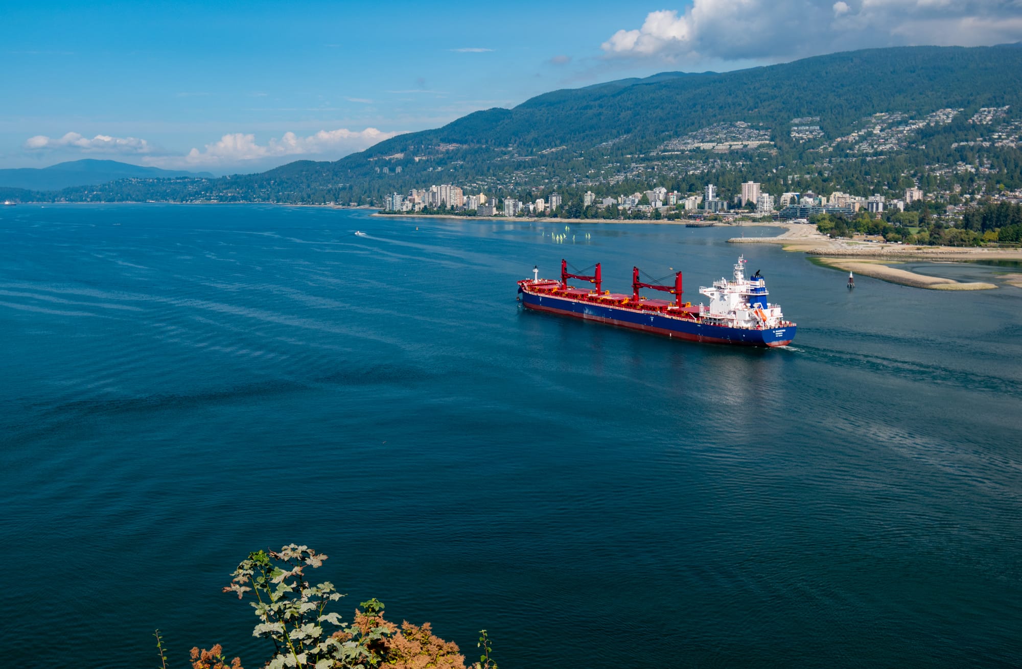 Photo of Ship that had just passed under Lions Gate Bridge.