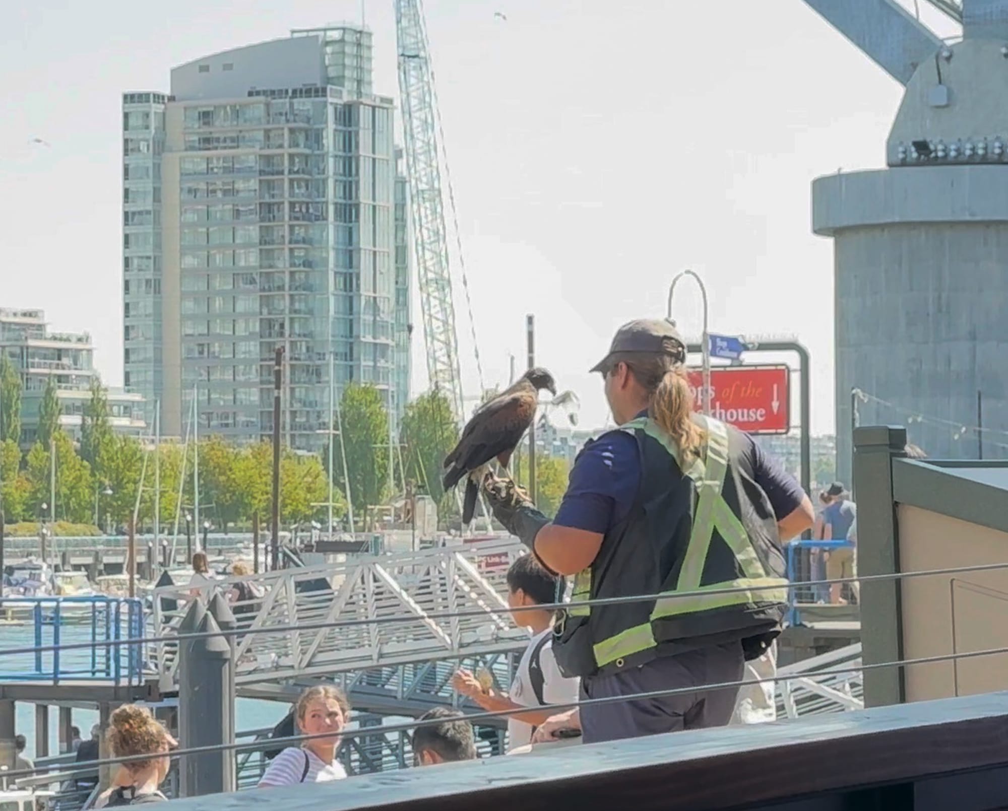 Photo of a man and his bird, outside Granville Island Public Market.