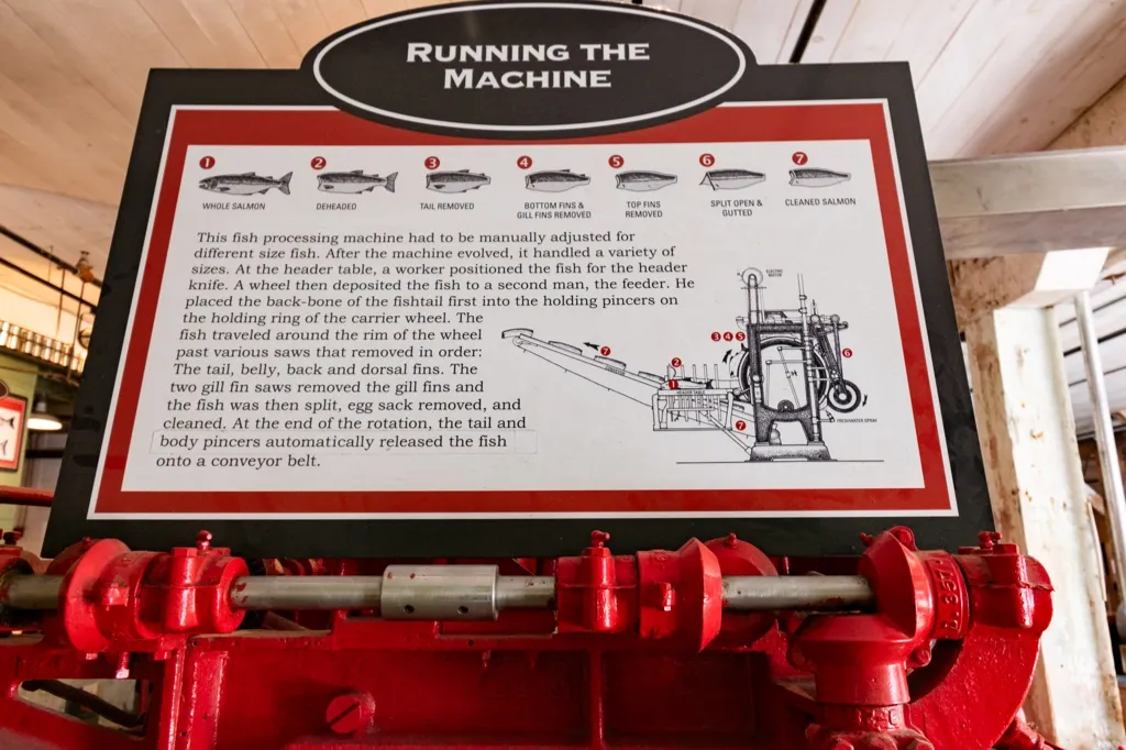 Photo of Cannery Museum fish processing display