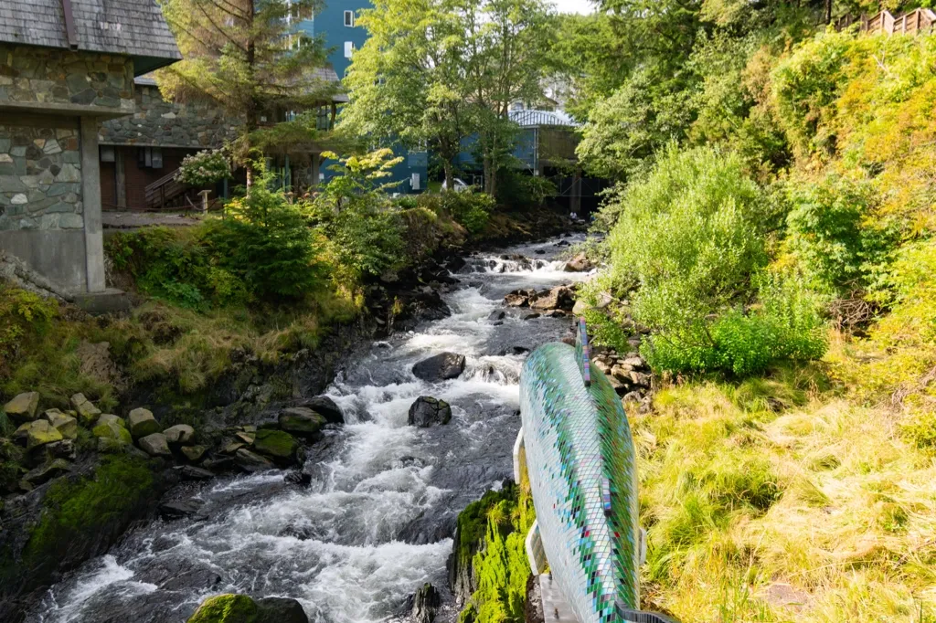 Photo of salmon ladder / falls