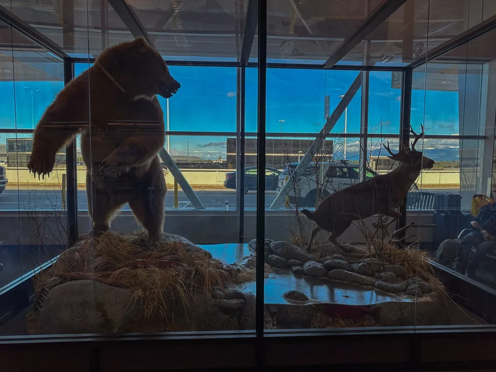 Photo of a bear, deer, salmon diorama at the Airport