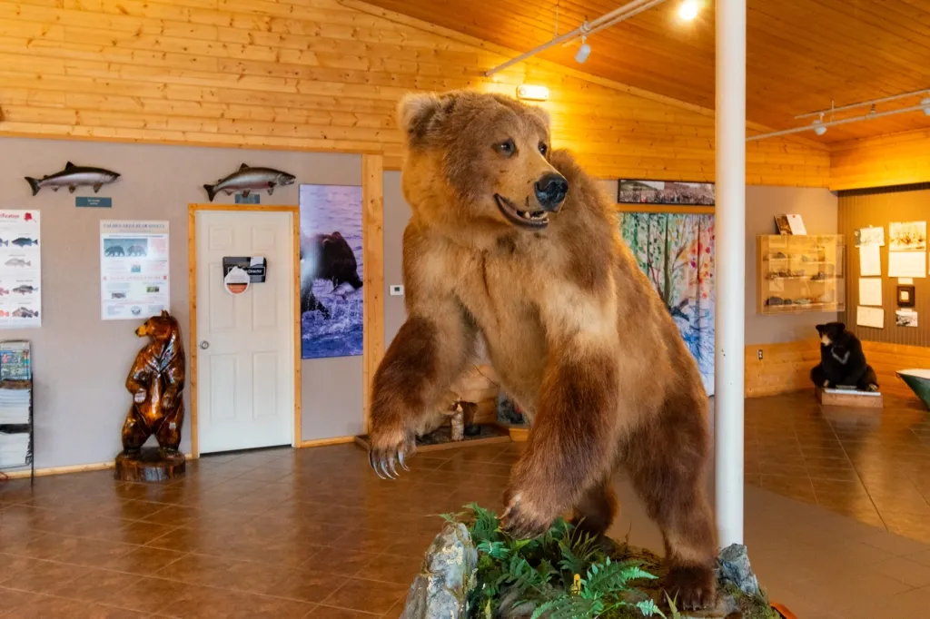 Photo of stuffed bear at Valdez Visitor's Center